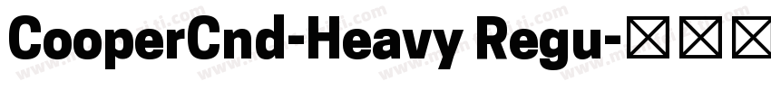CooperCnd-Heavy Regu字体转换